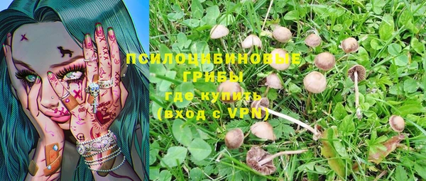 хмурый Нягань