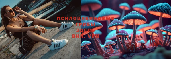 твердый Нязепетровск